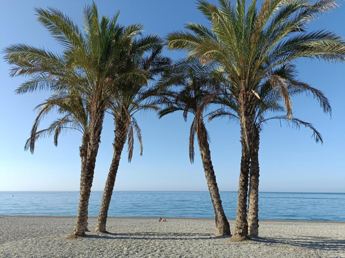 Apartamento Maravilla Tropical - La Herradura Almuñécar Exteriér fotografie